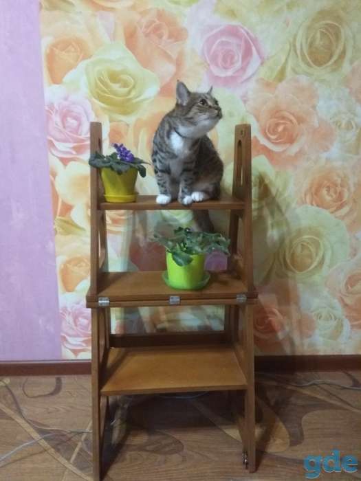 Стул-стремянка, фотография 3