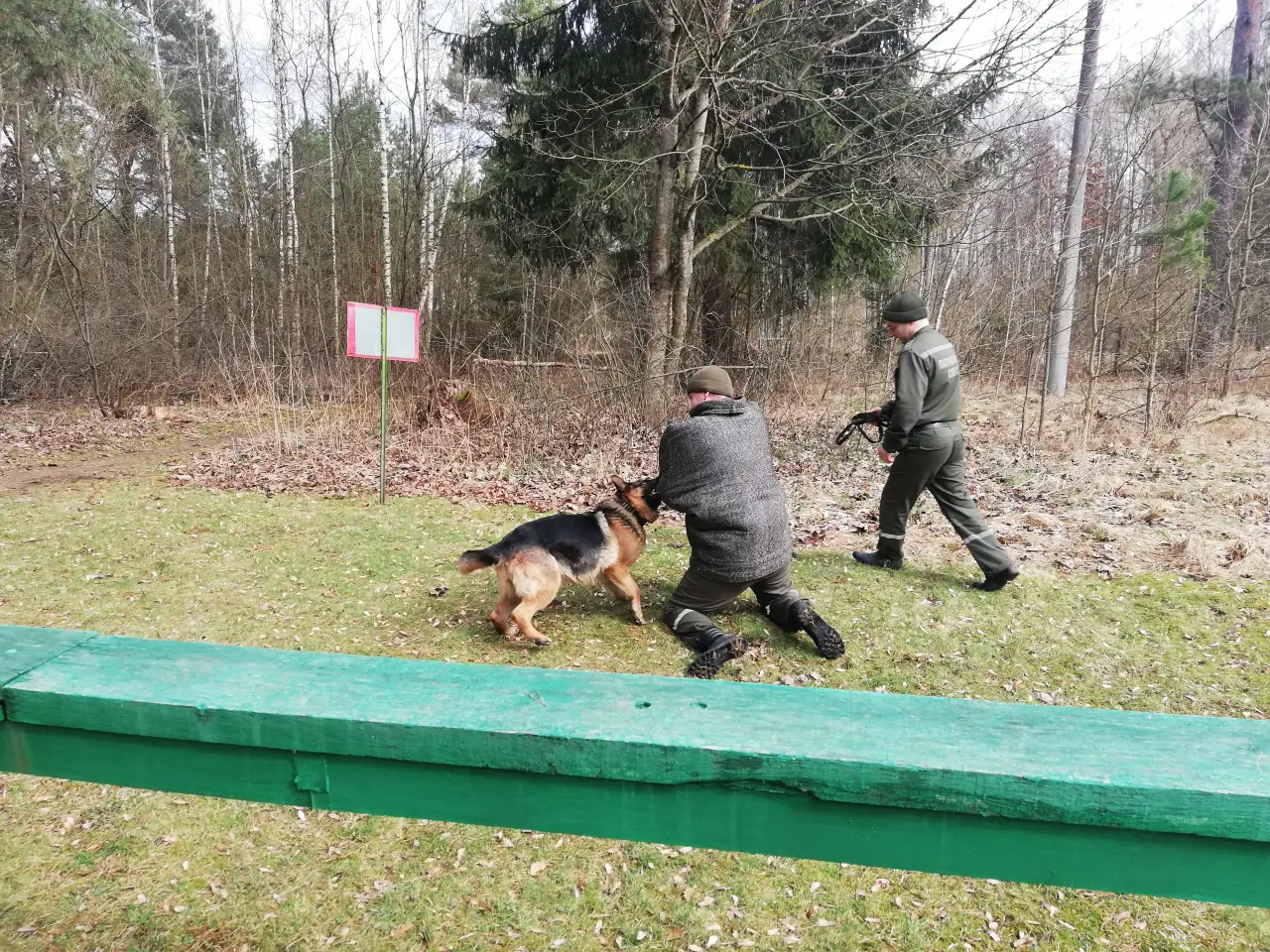 Гродненская пограничная группа осуществляет набор кинологов для службы на контрактной основе. Зарплата от 2200, фотография 5