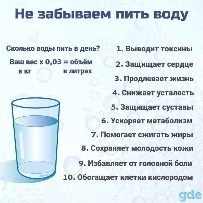 Консультация по правильному питанию, фотография 2