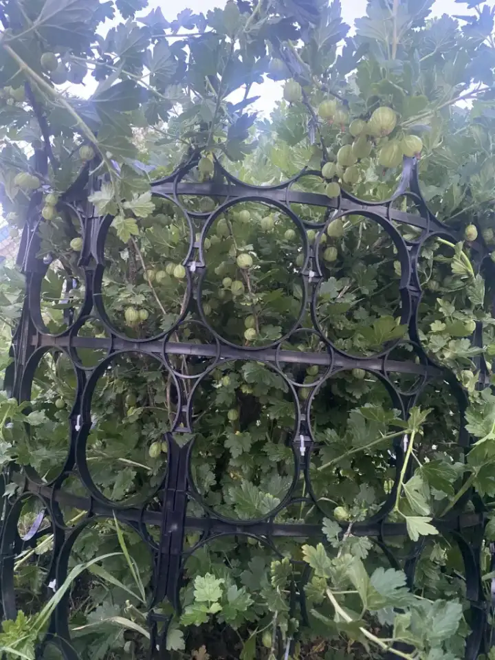 Каркас для куста, фотография 2