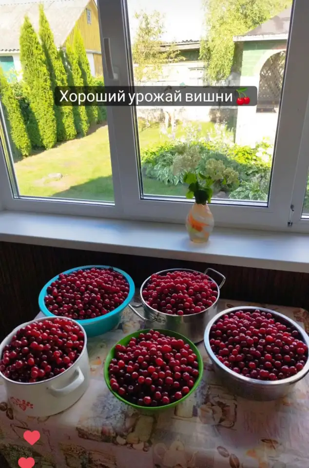 Дача Брумовщина, Ст брумовщина, фотография 9