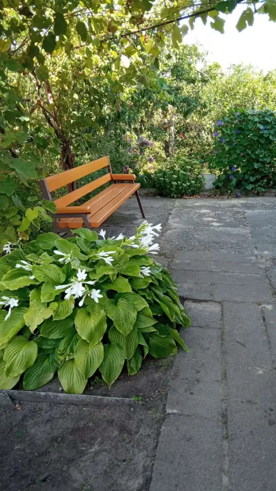 Продажа дачи, обл. Ветковский р-н д.Рудня-Споницкая., фотография 7