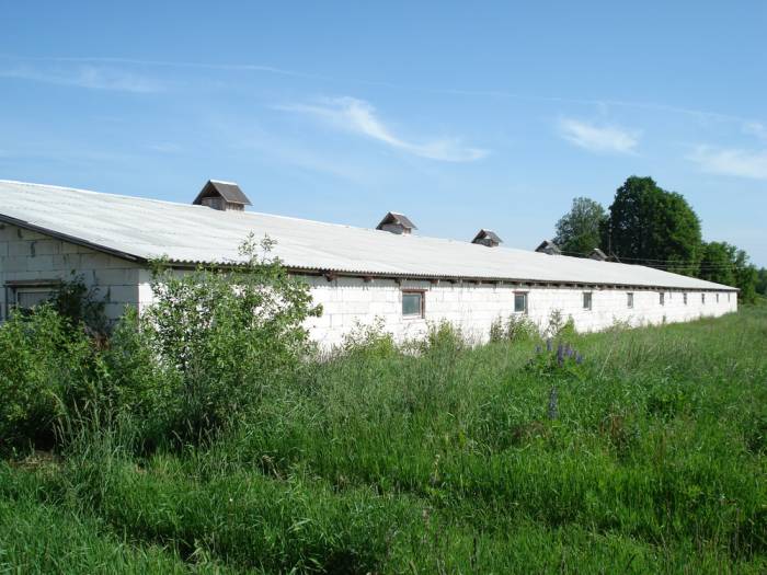 Продажа приобретая сегодня обеспечиваем, д. Разлитье , фотография 4