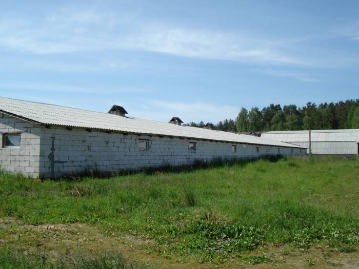 Продажа приобретая сегодня обеспечиваем, д. Разлитье , фотография 6