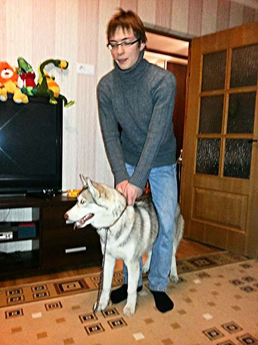 Воспитание и дрессировка щенков. Консультации по интернету для иногородних., фотография 3