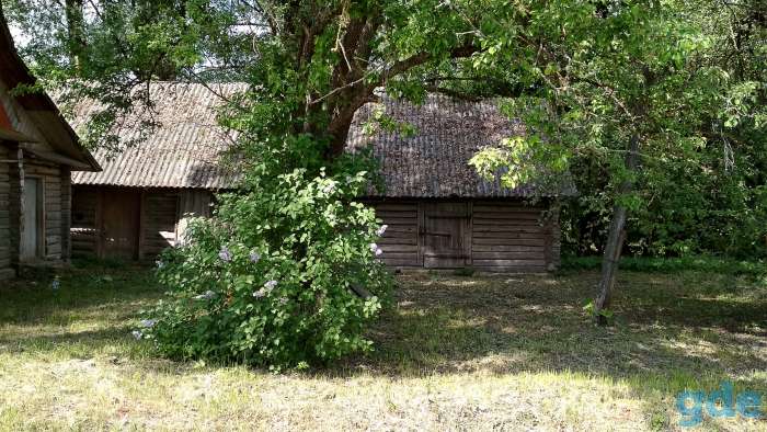 Дом у реки, д.Русаки Поставского района, курапольский с/с, фотография 3