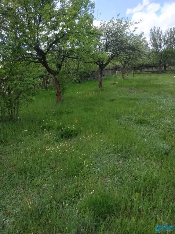 продам дом в а.г. Протасевичи, Осиповичский р-н, фотография 3