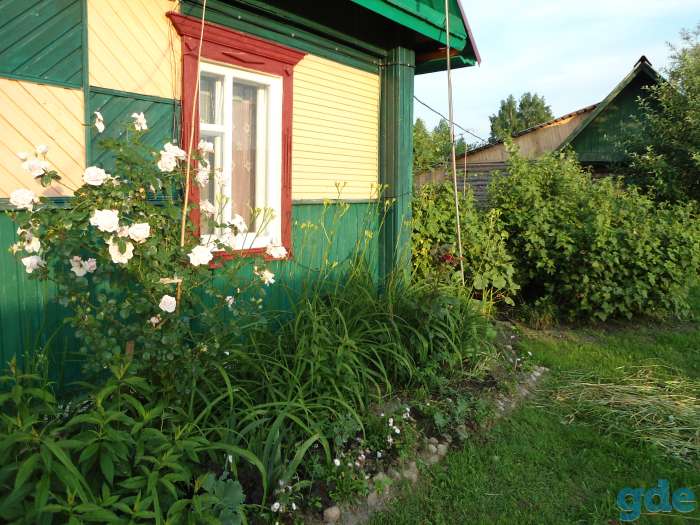 Продам/обменяю дом-усадьбу с большим участком и хоз. постройками рядом с заповедником!, фотография 9