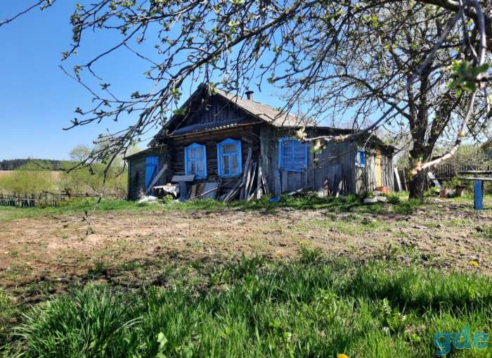 Продам дом деревня Лютка, фотография 2