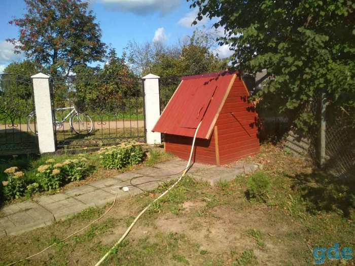 Дом, Шумилинский район, деревня гребница., фотография 2
