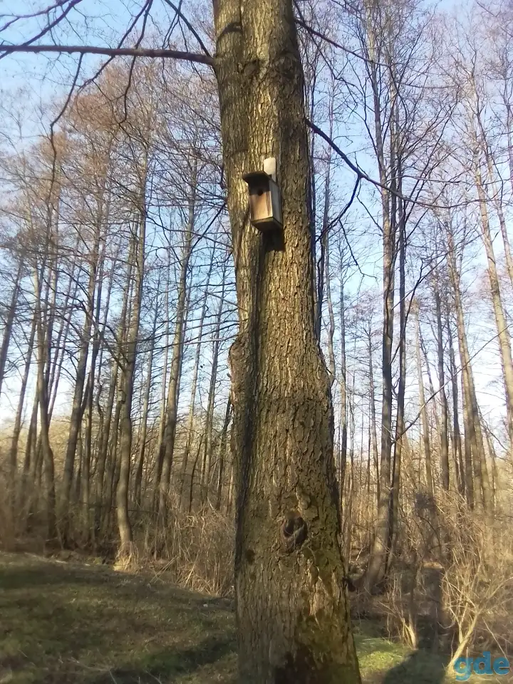 Комнаты, 3 Голодеда ул., фотография 9