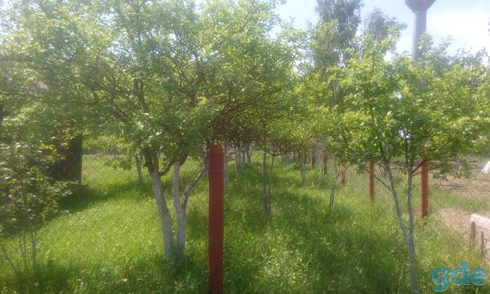 Продам земельный участок с хоз.постройкой, фотография 3