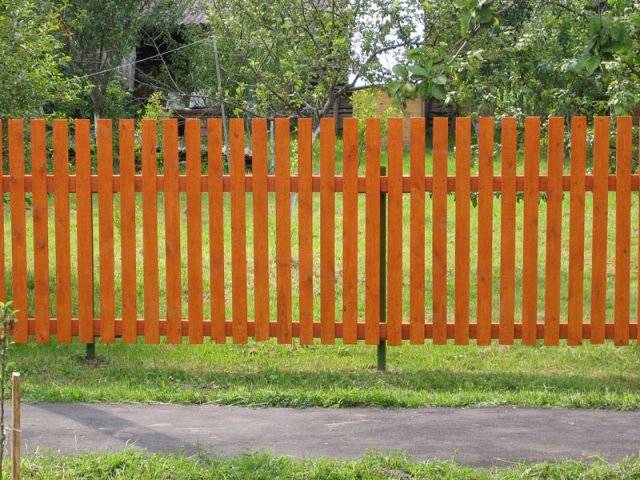 штахетник ТорусБел, фотография 3