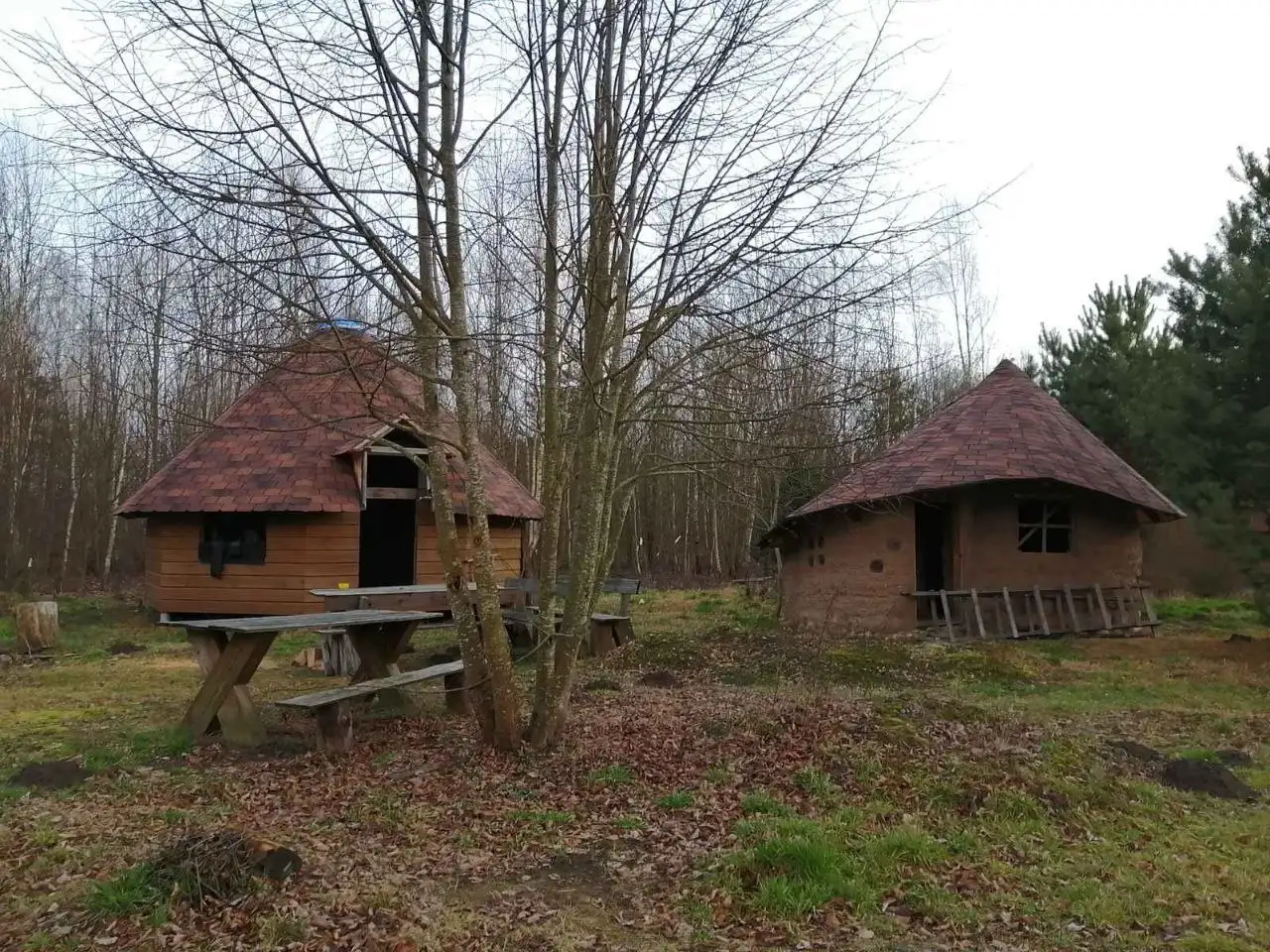 Участок кфх под Гродно для агроэкотуризма или сх, фотография 6
