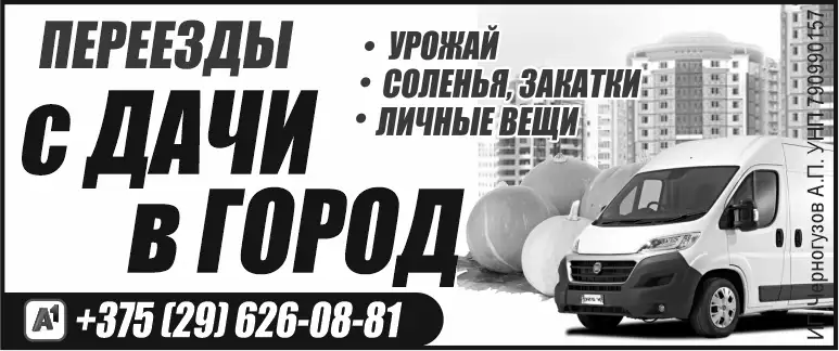 ПЕРЕЕЗДЫ, грузоперевозки. МОГИЛЕВ и район!!!, фотография 1