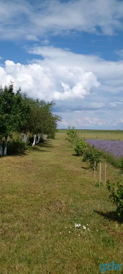 Продам дом, деревня Приямино, Борисовский район, Минская область, фотография 1