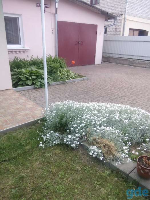 Продается трехкомнатная квартира, Ул. Жолудева, 125, кв 1, фотография 1