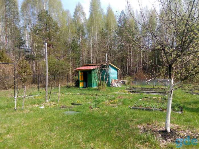 Продажа дачи, обл., Столбцовский р-н, около д. Засулье, фотография 6