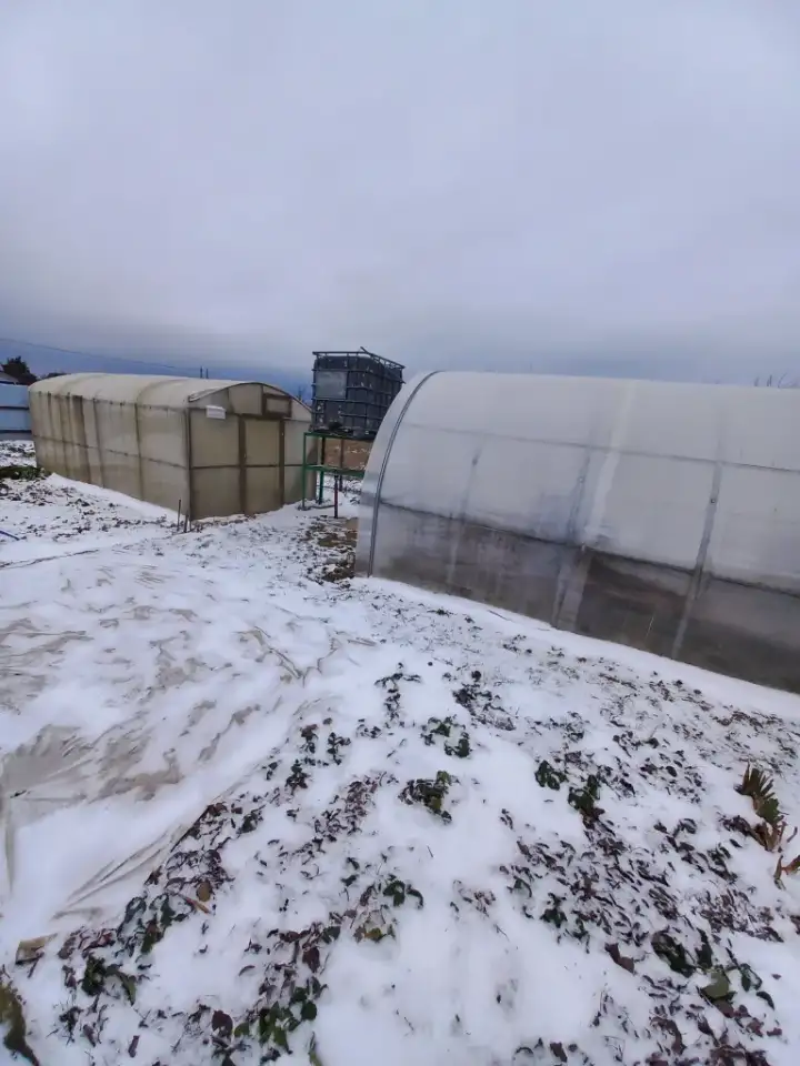 ДАЧА в тихом месте 10 км от Молодечно, СТ СНЕЖИНКА Лебедевский сс Молодечненский р-н, фотография 15