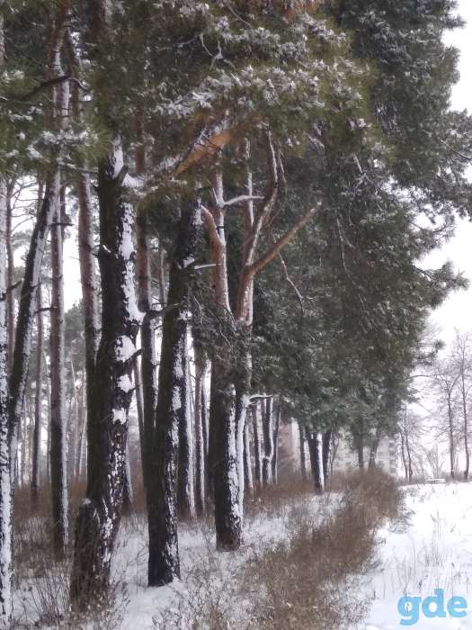 Биология ЦТ, фотография 1