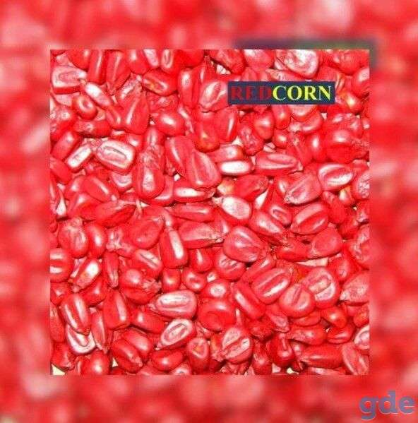 Краска для инкрустации семян, REDCORN, фотография 1