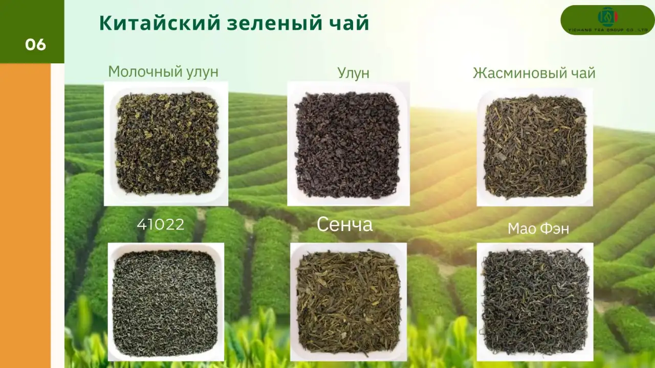 Чай зеленый в ассортименте по классам ИЧАН ТИ ГРУПП-Ангел Ист, фотография 1