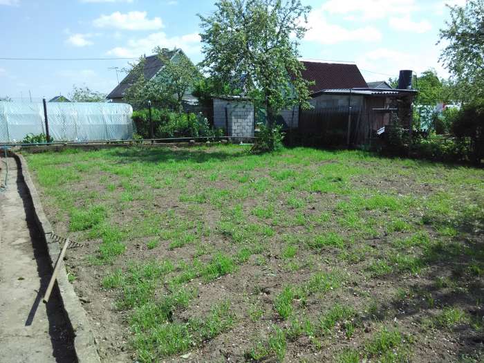 Продается дача, с.т. Подшипник, фотография 3