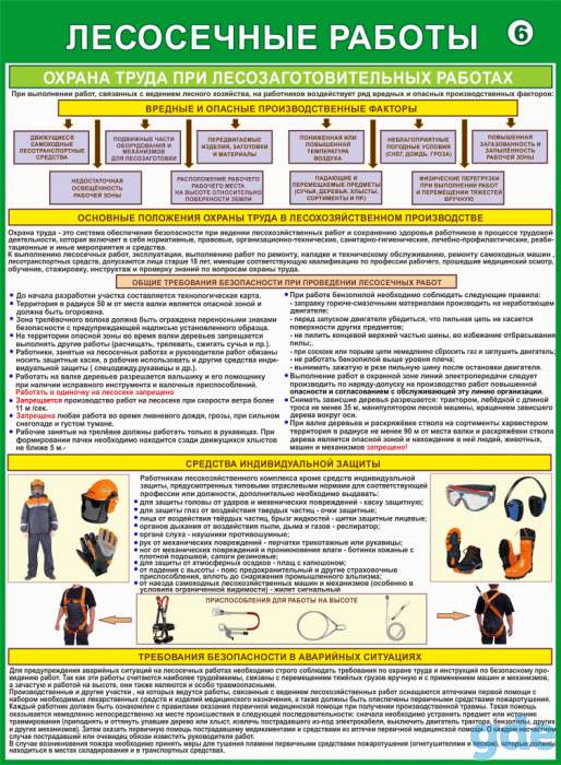 Плакаты Лесосечные работы комплект 6 плакатов, фотография 6