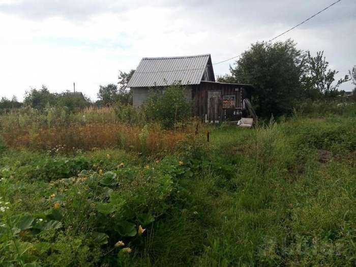 Садовый,дачный участок (дача), фотография 5