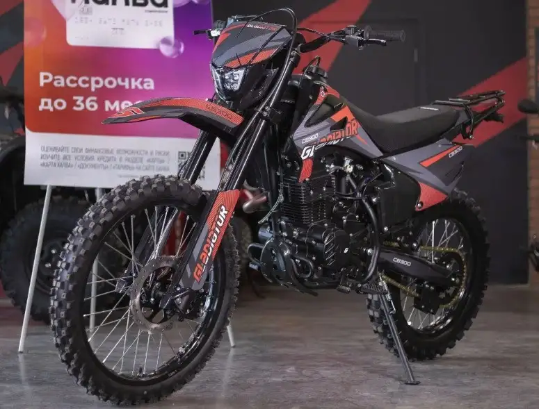 Мотоцикл GLADIATOR C3 CB300, фотография 11