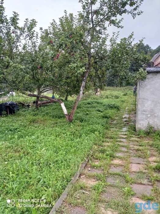 Продажа дачного участка, С/т район, пос. Гатовино, ул. Николаевская, участок 10, фотография 3