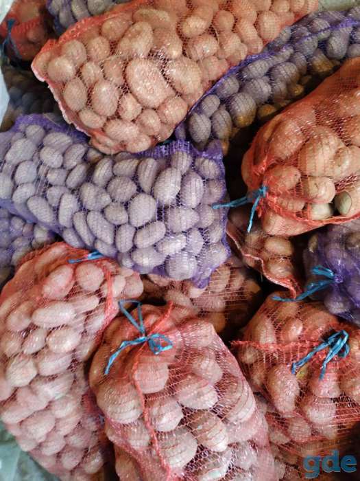 Отличный картофель к Вашему столу! Продам по выгодной цене, фотография 3