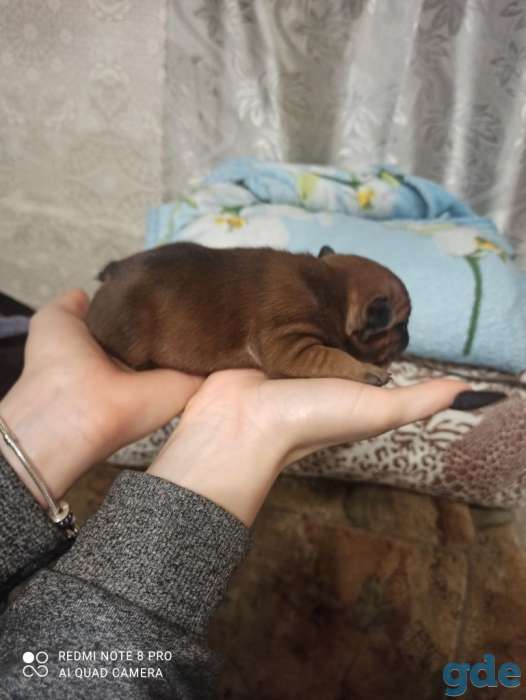 Продажа, фотография 5