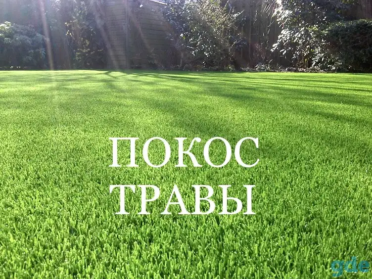 Покос травы, фотография 1