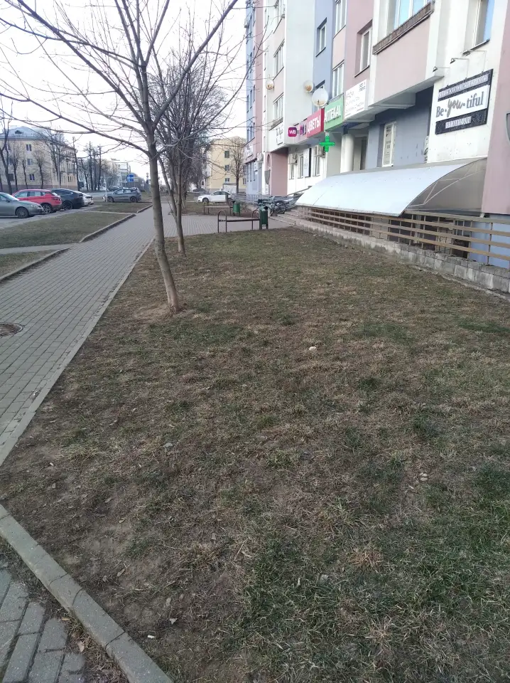 сдам в аренду помещение сферы услуг, ул. Нововиленская, 10, фотография 1