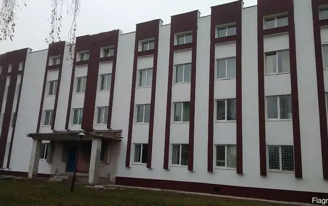 Покраска и побелка механизированным способом., фотография 4