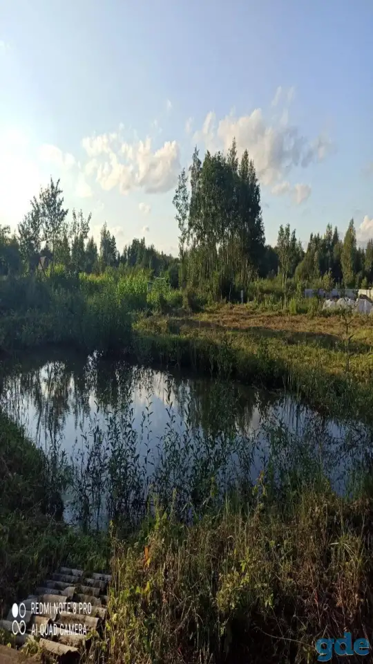 Дачный участок, Петушки Новики, фотография 3
