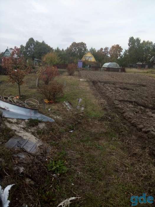 Продам дачный участок в п.Дударево Добрушский район Гомельская область, фотография 5