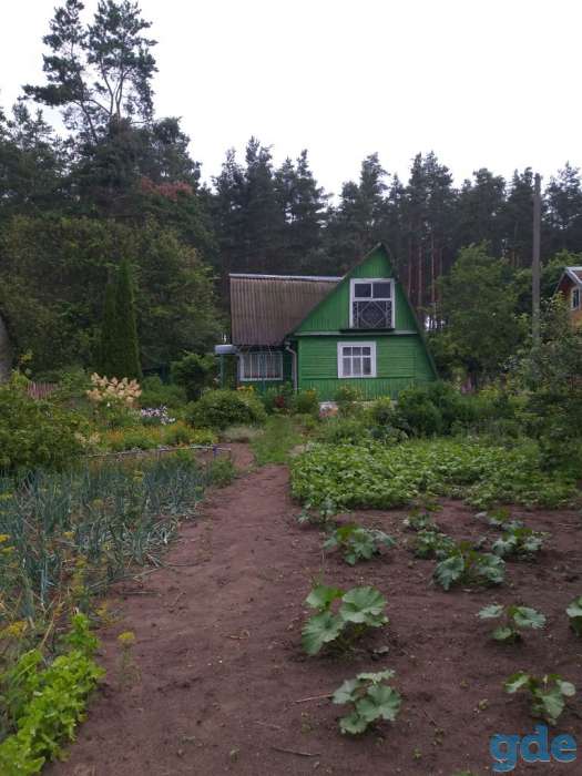 Продам дачу, СТ Родничок, Тарусичи, Гродненский район, фотография 2