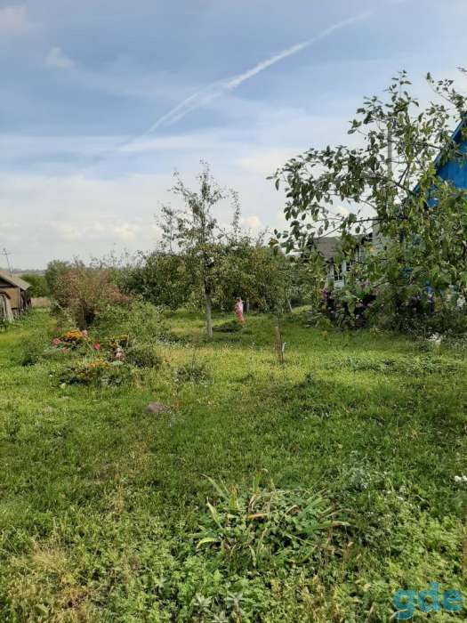 Дом для жизни, Гродненская область, Кореличский район, Оюцевичи, фотография 5
