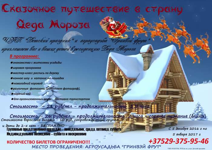 Резиденция Деда Мороза в Гомеле, фотография 1