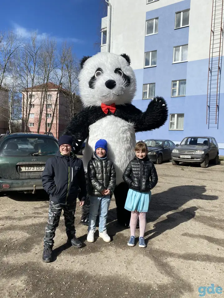 Поздравления от медведе/панды/мишка, фотография 3