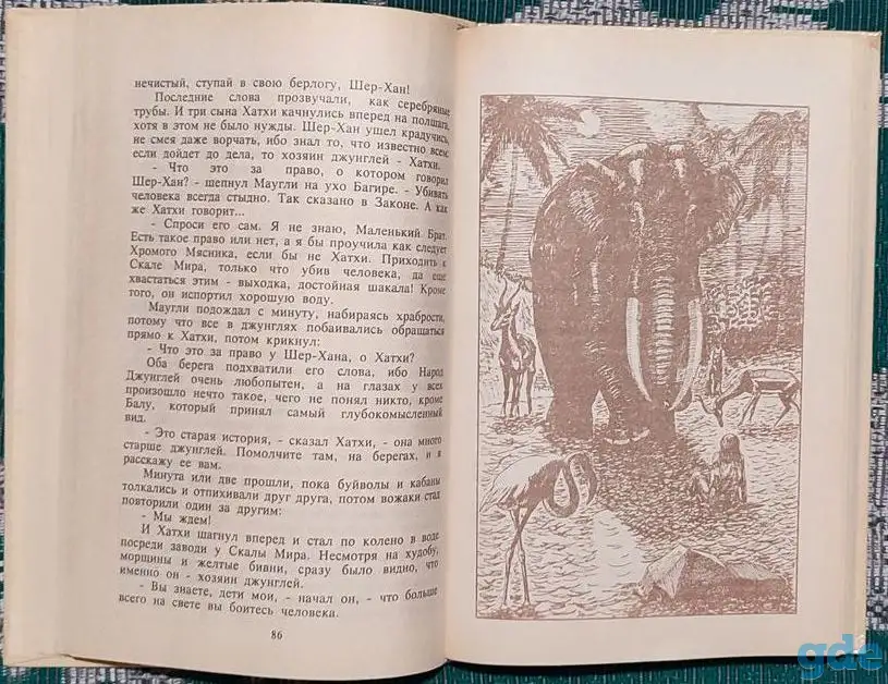 Редьярд Киплинг - Маугли, фотография 8