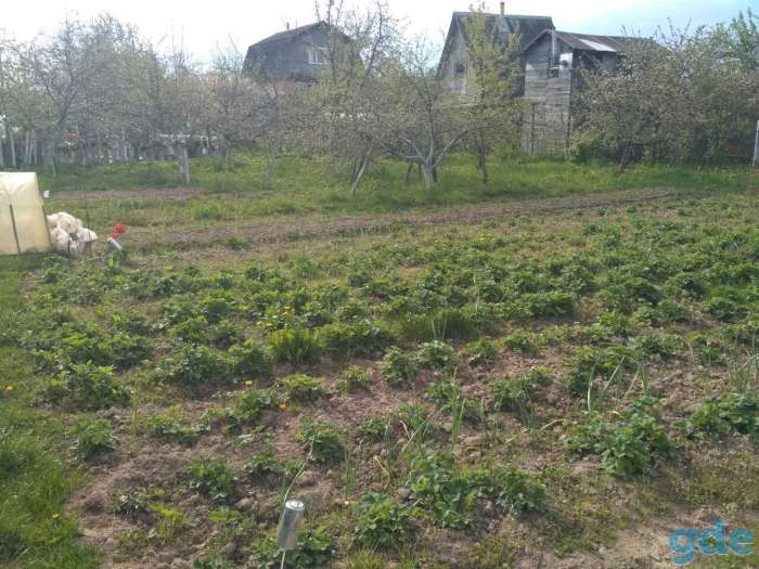 Продам дачный участок 10 соток, фотография 2