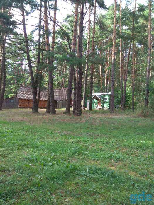 Эко отдых на Браславских озерах, д.Дубки, фотография 3