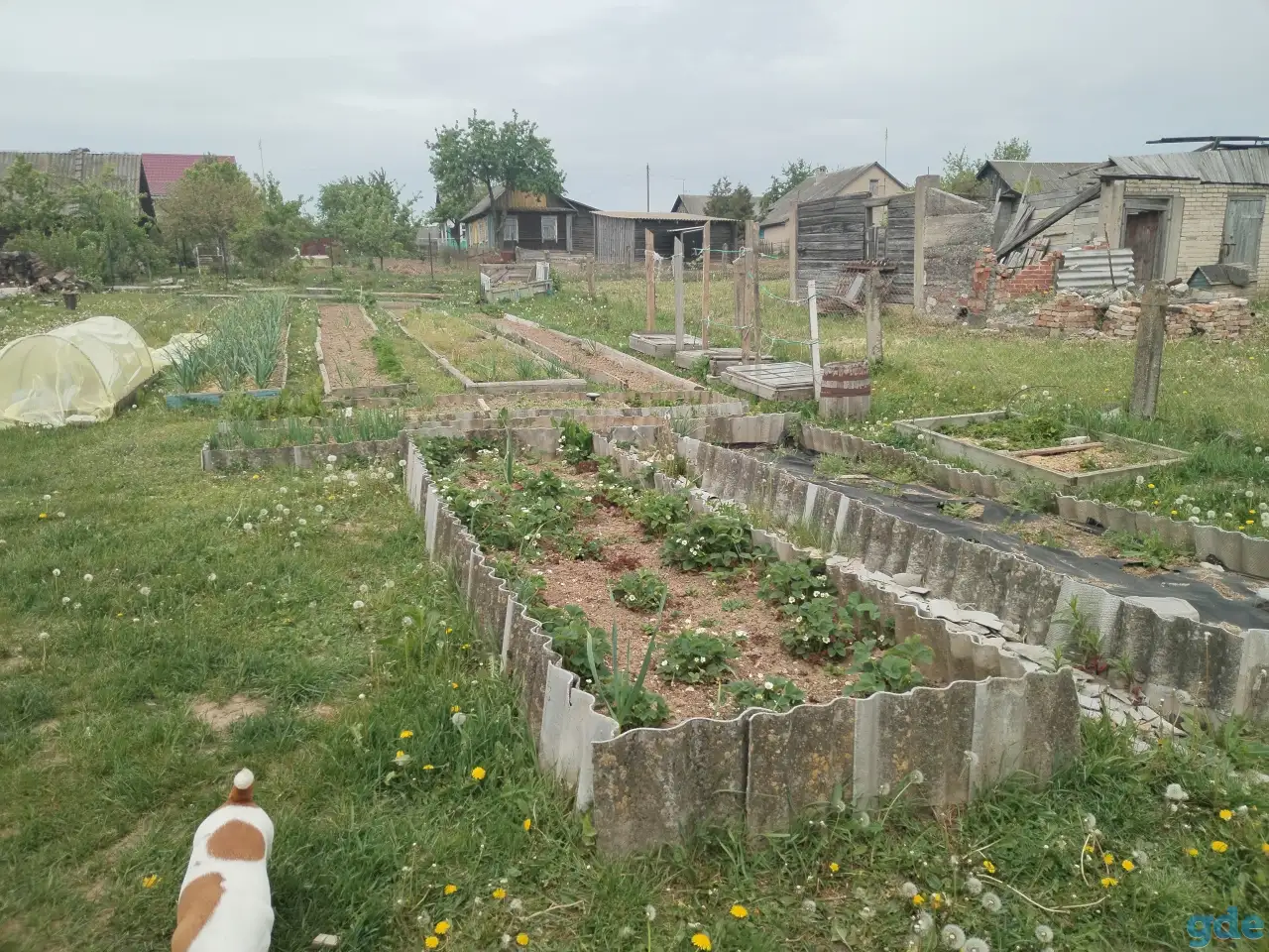 продам, Городея, фотография 3