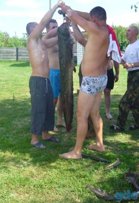 Агроусадьба Богомазов Двор, фотография 6