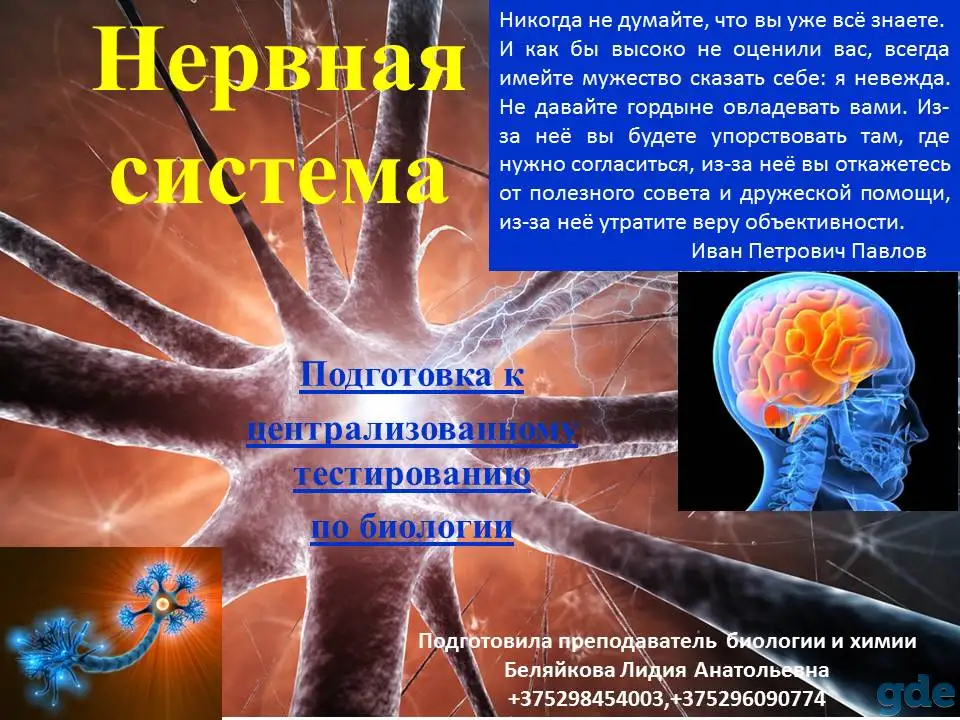 Репетитор по биологии и химии, фотография 2