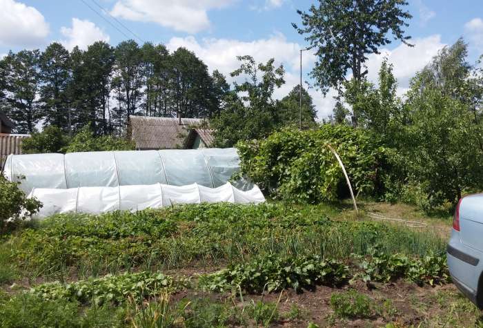 продам дачу, Пуховичский район, д. Барки, фотография 3