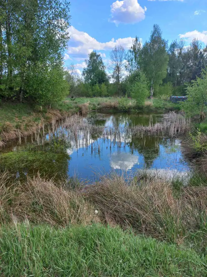 Продажа, Д.Оса район, фотография 3